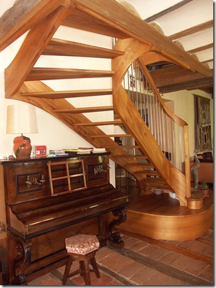 elm stair from below